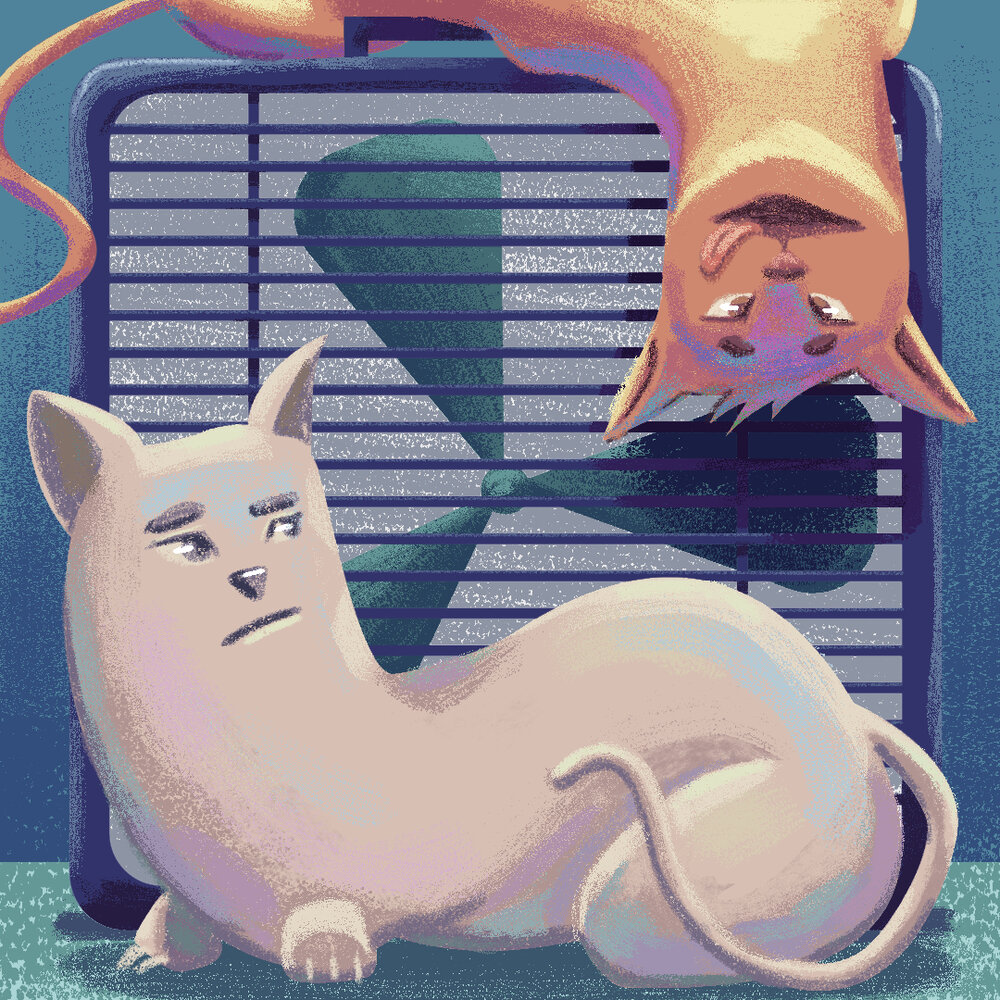 cat fan illo