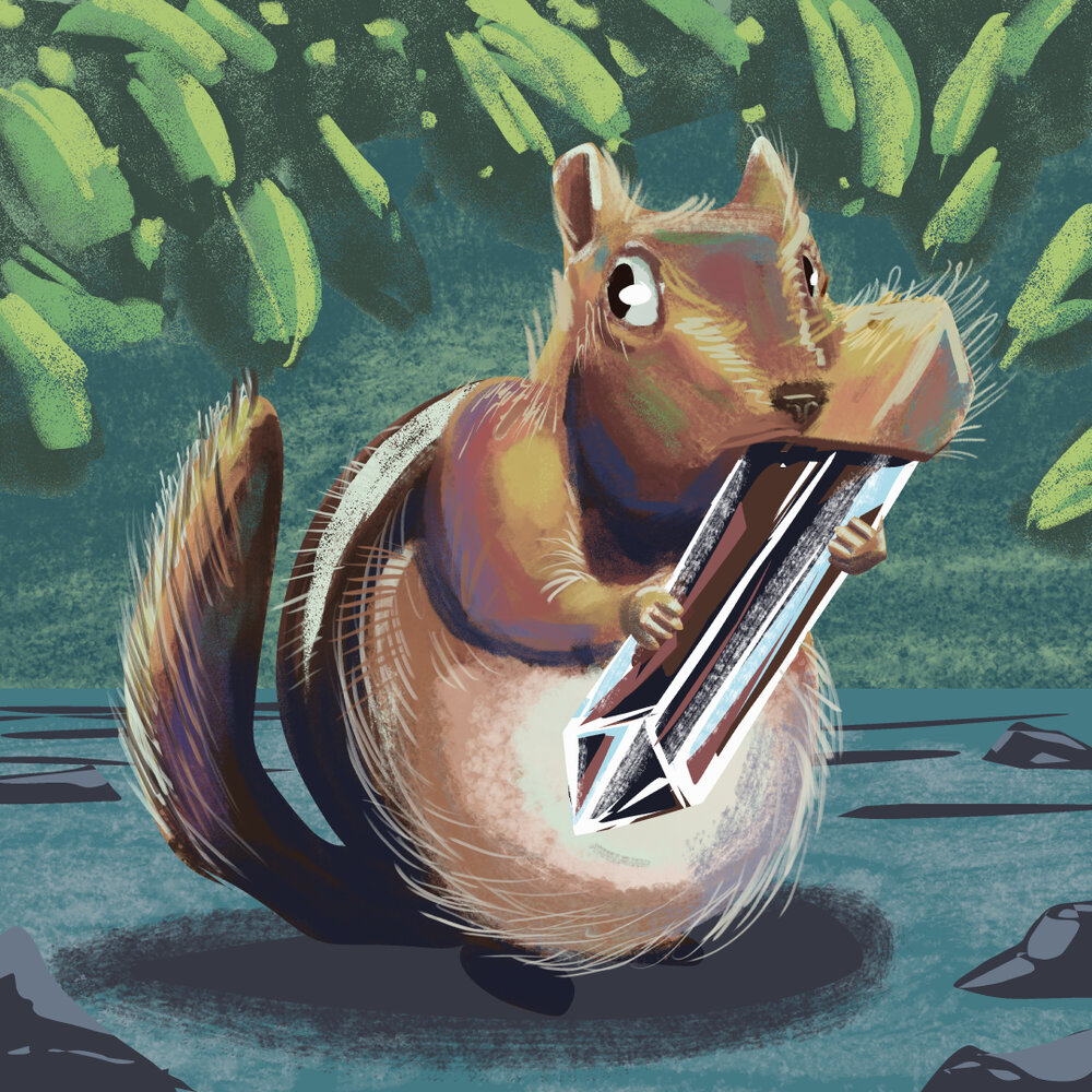 squirrel illo