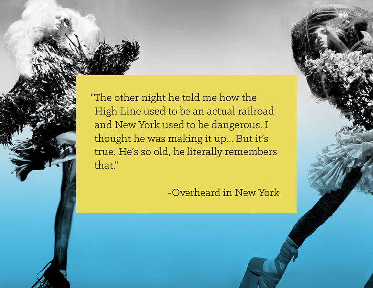 goode company slide 08